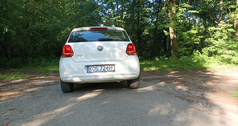 Volkswagen Polo cena 21500 przebieg: 102000, rok produkcji 2013 z Siedlce małe 407